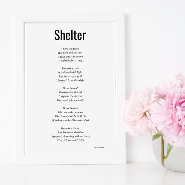 Shelter